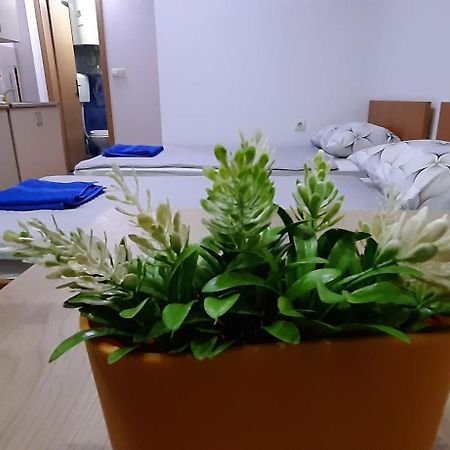 Apartment Riki 3 Near Bus Station Ohrid Exterior photo